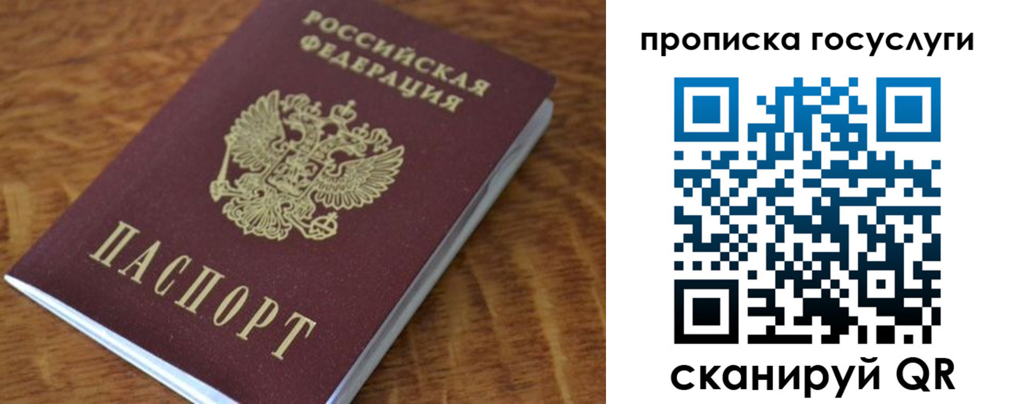временная регистрация гарантия в Павловске